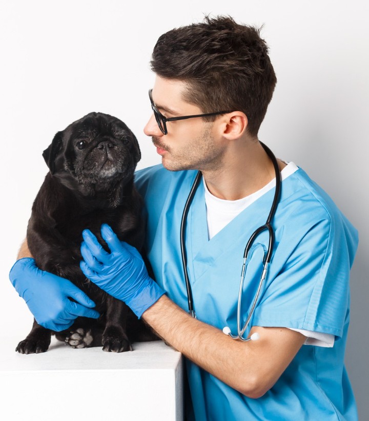 Veterinary Doctor with Dog